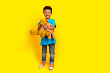 Full length photo of cute cheerful small child dressed blue t-shirt jeans cuddle two teddy bears isolated on vibrant yellow background