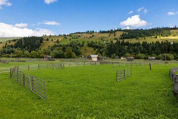 The Landscape at Ciocanestiin in  Romania