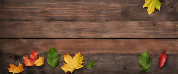 Naklejka na ściany i meble autumn – frame of colorful leaves isolated on a black concrete texture 