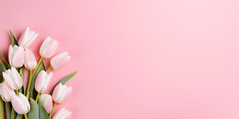 Fototapeta na wymiar Abstract top view background with pink tulip flowers on pink copy space 