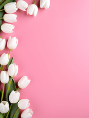 Abstract top view background with white tulip flowers on pink copy space  