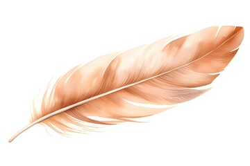 feather of a bird on a white background. watercolor illustration