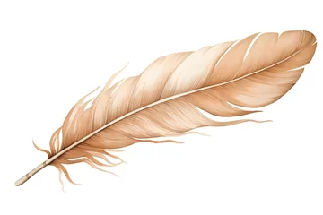 Fototapete Federn Feather of a bird on a white background. Vector illustration.