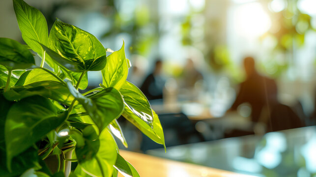 Corporate, business, meeting, office, interior, table, green, plant, house plant, environmental, friendly, conference, room, businessmen, blur, eco, eco friendly, green energy, engage, growth, mangers