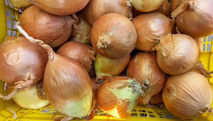 Onions in the market. 