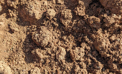 Texture of the soil. Ground as texture. Soil texture background. Dry agricultural brown soil. Brown ground surface. Close up natural background. Ground as texture and background. 	
	
