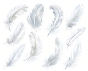 Bird Feather Set Isolated. Elegant White Feathers Collection for Angelic Accessories