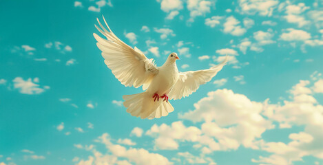 A white dove flies through a blue sky