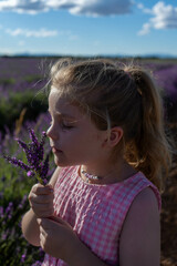 Niña pequeña, caucásica y rubia, oliendo flores de lavanda en el campo