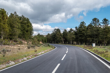 Fototapeta na wymiar Jornada entre pinheiros: O Encanto da estrada asfaltada sob um céu parcialmente nublado
