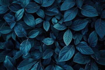 Texture Floral. Tropical Flora and Botanical Leaves Collection on Clean Blue Background