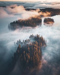 Fog lake and forest landscape, aerial view