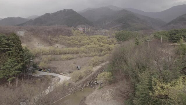 Paysage du printemps en Cor&eacute;e du Sud avec des fleurs jaunes