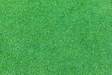 The top view of the grass garden is refreshing to look at. green grass texture background Ideas used for creating green backdrops