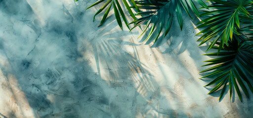 A leafy green palm tree casts a shadow on a grey surface