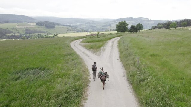 Man With Donkey Walking On Trail Through Countryside Fields - Aerial Tracking Shot
