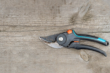 Garden tools for pruning plants