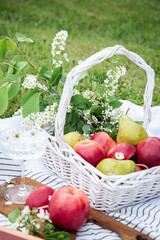 apples in a basket