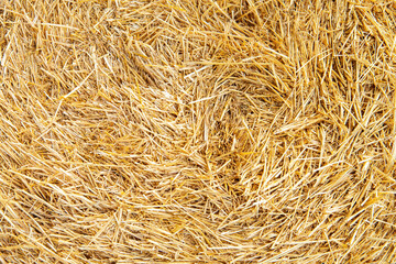 Hay texture. Hay bales are stacked in large stacks. Harvesting in agriculture.
