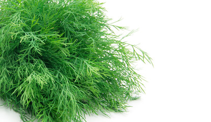 Dill isolated on a white background. - 786070640