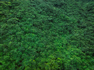 Aerial view of beautiful forest mountain landscape