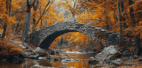 A stone bridge nestled amidst autumn trees, its ancient beauty standing the test of time.