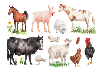 Animals meet types watercolor illustrations set, hand drawn illustrations of cow, chicken, pig, sheep, goat and duck. Domestic farm animals isolated on white background, vector illustrations