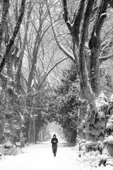 Frau im Schnee unter Bäumen in schwarz-weiss