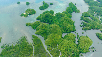 Top view of tropical island in the cove. Clusters of islands in lagoons. Sipalay, Negros, Philippines.