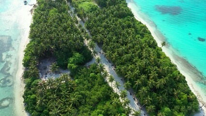 Aerial drone view of a beautiful tropical island with palm trees on a sandy beach