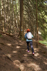 Fototapeta premium Hiker lady with backpack alone on the trail