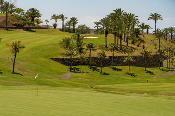 green golf course, holiday Golf course in the countryside - 786092045