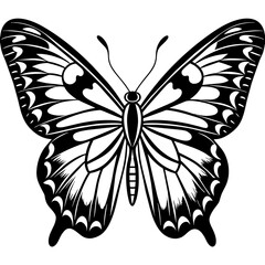     Butterfly vector illustration.
