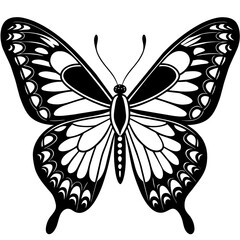     Butterfly vector illustration.
