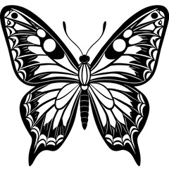     Butterfly vector illustration.
