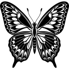     Butterfly vector illustration.
