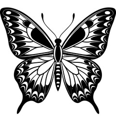     Butterfly vector illustration.
