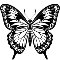     Butterfly vector illustration.
