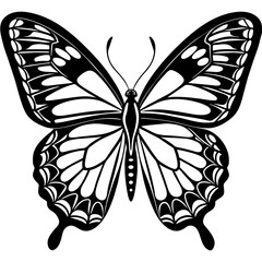     Butterfly vector illustration.
