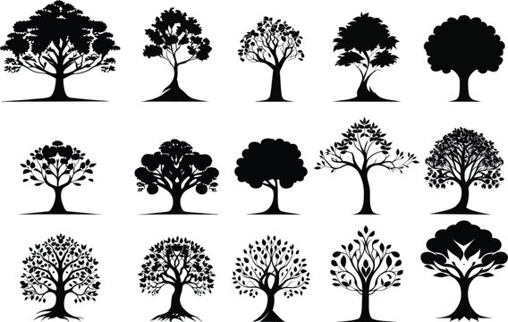 trees isolated silhouettes set collection	