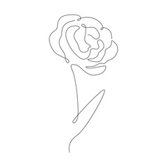 Single line drawing rose