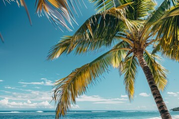 Fototapeta na wymiar Serene Tropical Beachscape with Lush Palm Trees at Sunset