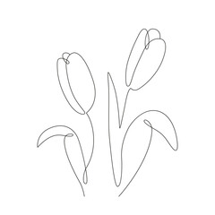 Tulips one line art