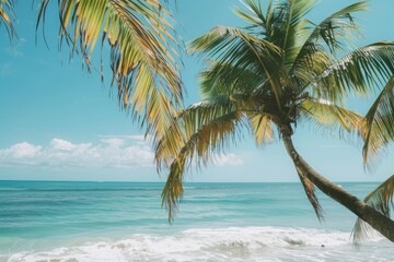 Serene Tropical Beachscape with Lush Palm Trees at Sunset