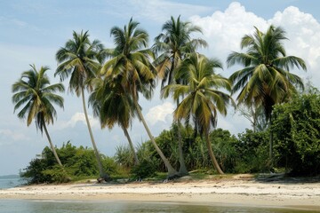 Fototapeta premium Serene Tropical Beachscape with Lush Palm Trees at Sunset