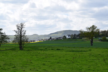 spring green landscape with a village