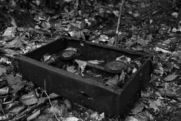 Metal tool on ground surrounded by fallen leaves