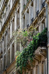 Vertical shot of a beautiful building with lovely leaves and flowers decorating its balconies