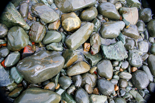 Closeup shot of wet beach stones on the ground