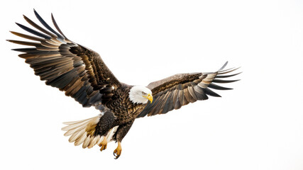 The image captures the essence of the bald eagle's power and freedom, showcasing its large wings and keen eyes mid-flight